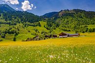 Lente in Oostenrijk van Henk Meijer Photography thumbnail