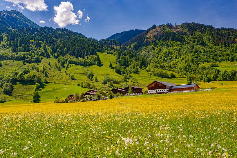 Spring in Austria by Henk Meijer Photography