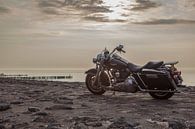 on a harley through Zealand by anne droogsma thumbnail