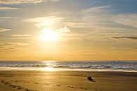 Sunset Koksijde by Johan Vanbockryck thumbnail