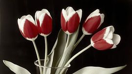 Tulpen stilleven