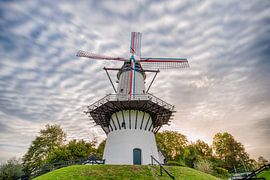 windmolen in Deil Holland von Marcel Derweduwen