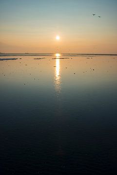 Poolijs en zeelandschap op de zandplaten in de Waddenzee van Sjoerd van der Wal Fotografie