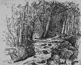 Bosbeek in de bossen van de Ardennen van Paul Nieuwendijk thumbnail