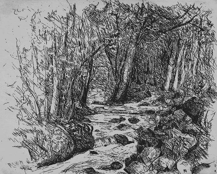 Bosbeek in de bossen van de Ardennen van Paul Nieuwendijk