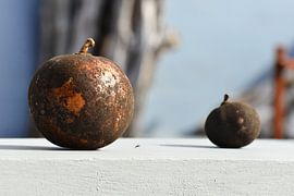 Grote  en kleine kalebas by Vincent Bicentini