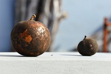 Grote  en kleine kalebas van Vincent Bicentini