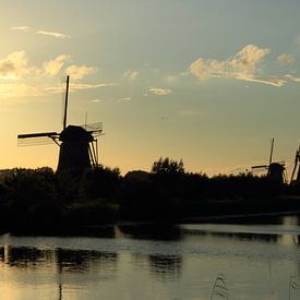 Kinderdijk van Desiree Pantekoek