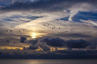 Geese over the sea of Texel by Natuurlijk schoon thumbnail