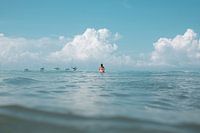 PURA VIDA