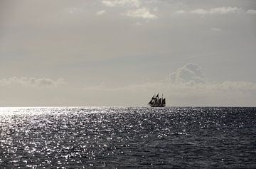 Een driemaster op de Caraïbische Zee van Margot van den Berg