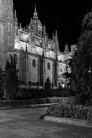 New cathedral Salamanca by Leticia Spruyt
