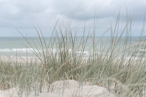 Nederlandse duinen van DsDuppenPhotography