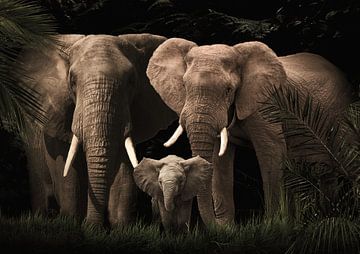 Elefantenfamilie mit einem Kalb (auch mit mehreren Kälbern)