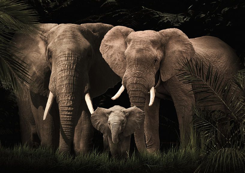 Elefantenfamilie mit einem Kalb (auch mit mehreren Kälbern) von Bert Hooijer