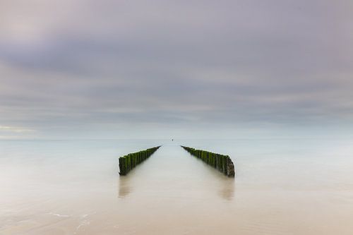 Symétrie dans l'Escaut occidental sur Heidi Bol