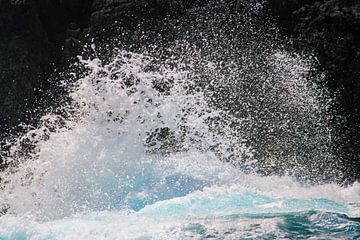 The Untamed Wealth of the Ocean