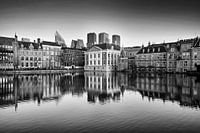 Skyline of The Hague with reflection in the water