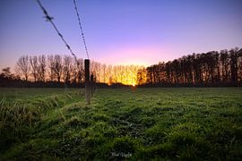 Lila Sonnenuntergang