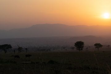 Borders of light - The shadow of South Sudan by Rick Massar