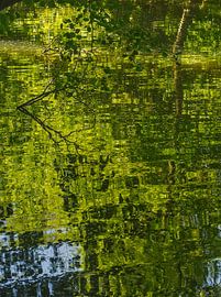 Reflections by Roger Trelou
