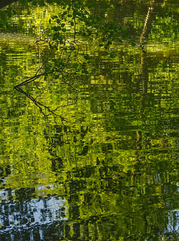 Reflections