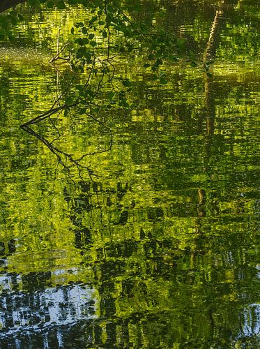 Reflections