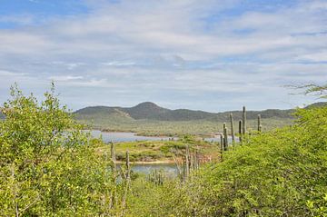 Vue sur le lac Gotom sur Myrthe Visser-Wind