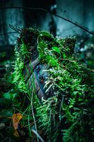 Moss-covered boot - nature conquers lost places