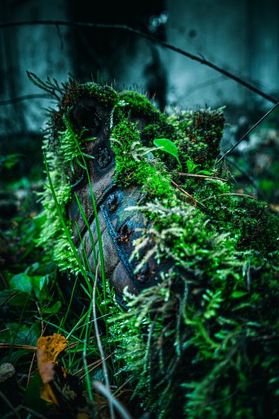 Moosbewachsener Stiefel – Natur erobert verlorene Orte von InfiniteArtLabs