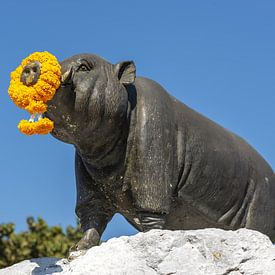 The quiet dignity of the Saha Chat by Walter G. Allgöwer