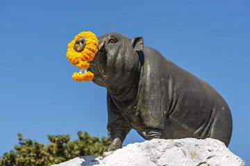 The quiet dignity of the Saha Chat by Walter G. Allgöwer