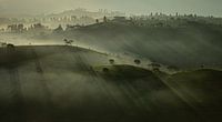 Nebliger Morgen - Teeplantage Asien - Panorama von Ellis Peeters Miniaturansicht