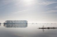 Brouillard sur l'IJssel par Jim van Iterson Aperçu