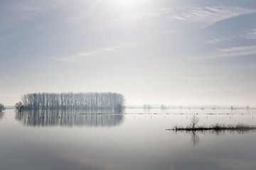 Fog over the IJssel by Jim van Iterson