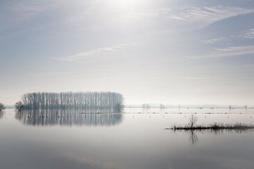 Nebel über der IJssel von Jim van Iterson