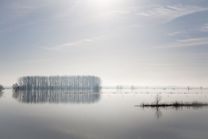 Brouillard sur l'IJssel par Jim van Iterson