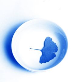 Delftsblauwe Tegel - 45 by Mariska van Vondelen