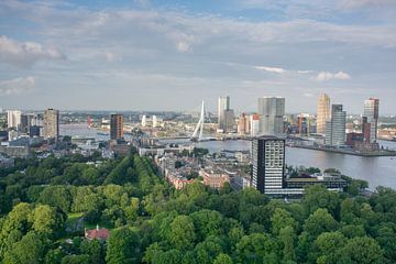 Skyline Rotterdam van Peter van Hengstum