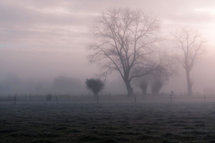 Dunst und das frühe Glühen von Yorick De Wilde