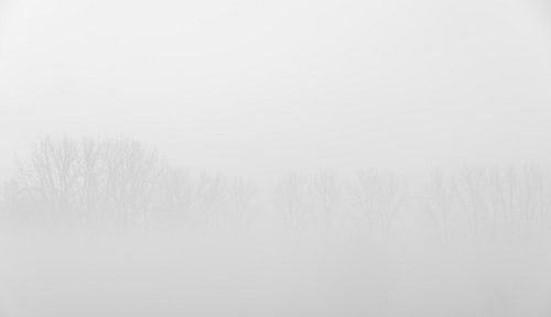 Foggy morning along the Dender