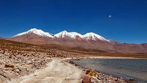 Die Laguna Colorada im Altiplano in Bolivien