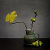 Nature morte aux figues sur Matty Maas