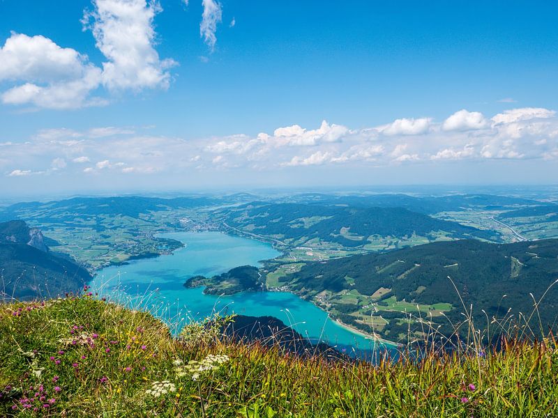 Der Mondsee im Salzkammergut von Animaflora PicsStock