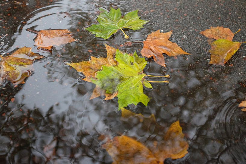 Summer is over. by Gerhard Nel