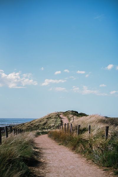 Dune path in Zeeland by Sanne van Heukelum