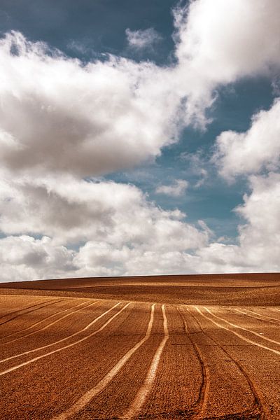 Sporen by Harrie Muis