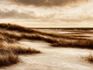 Entre les dunes et la mer - Hollum | Ameland