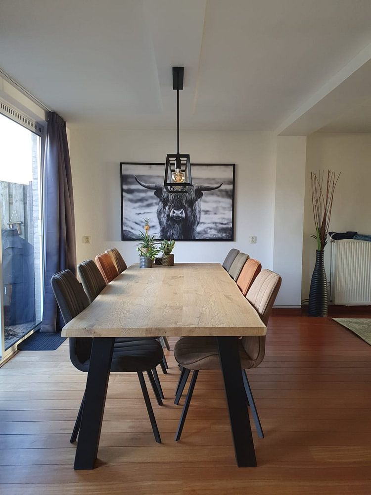 Schotse Hooglander, Scottish Highlander  van Nathalie Bauland 