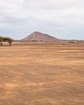 De woestijn in Sal, Kaapverdië van Dayenne van Peperstraten